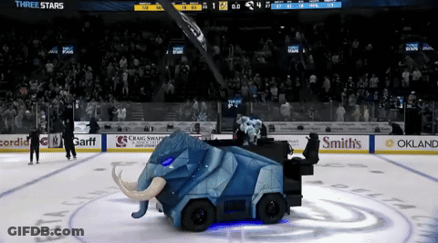 Hockey Game At Smith's Arena GIF