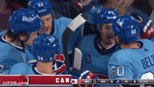 Hockey Game Between Canada And Lightning GIF