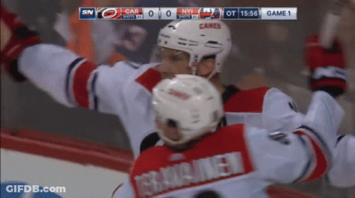 Hockey Game Between Carolina Panthers And New York Islanders GIF