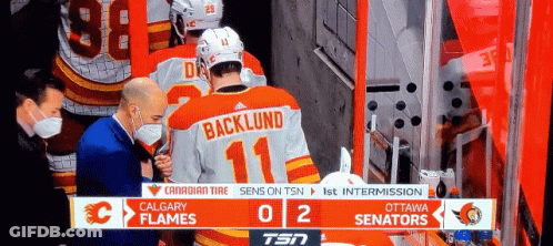 Hockey Game Calgary Flames Vs Ottawa Senators On TSN GIF