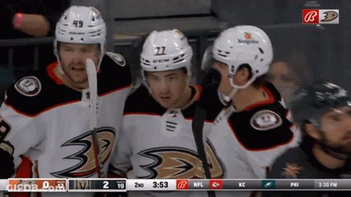 Hockey Game Ducks Vs Eagles GIF