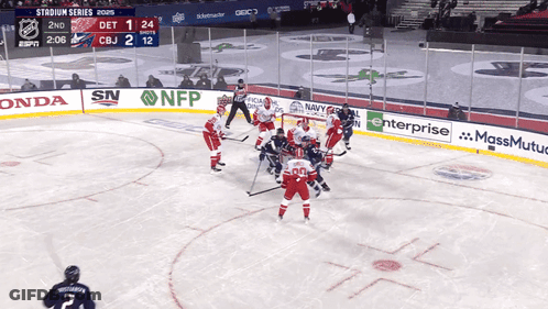 Hockey Game In A Stadium GIF