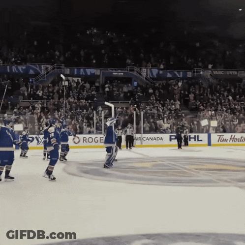 Hockey Game In Air Canada Phil And Tim Hortons Stadium GIF