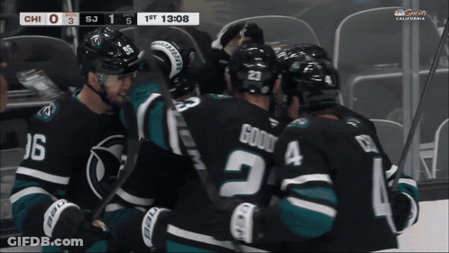 Hockey Game In California Score 0-3 GIF