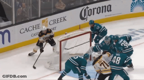 Hockey Game In Front Of Corona Banner GIF