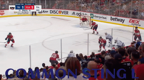 Hockey Game In Front Of Crowd GIF