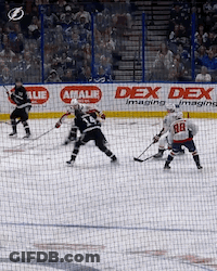 Hockey Game In Front Of Dex Imaging Imaging Sign GIF