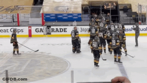 Hockey Game In Front Of Ga Trade Ad GIF