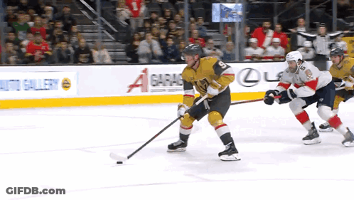 Hockey Game In Front Of Garage Sign GIF