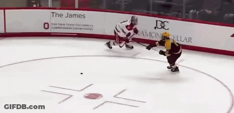 Hockey Game In Front Of James Banner GIF