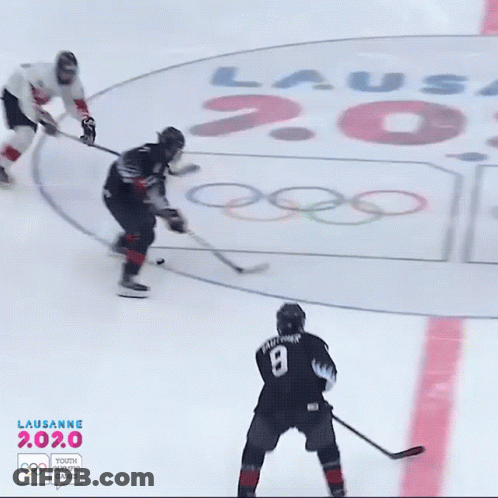 Hockey Game In Front Of Lausanne 2020 Sign GIF