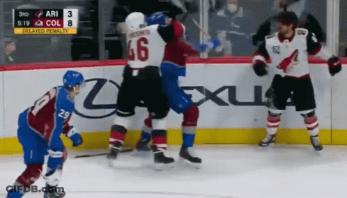 Hockey Game In Front Of Lexus Sign GIF