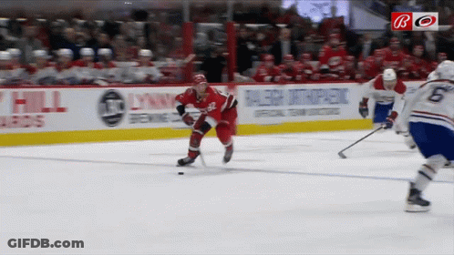 Hockey Game In Front Of Lynwood Ad GIF