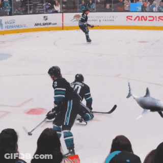 Hockey Game In Front Of NHL Shop Banner GIF