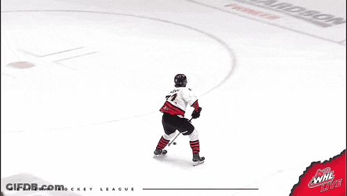 Hockey Game In Front Of Richardson Advertisement GIF