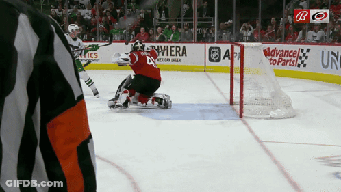 Hockey Game In Front Of Riviera Banner GIF