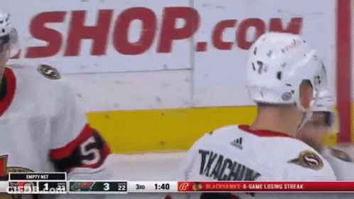 Hockey Game In Front Of Shop.com Ad GIF
