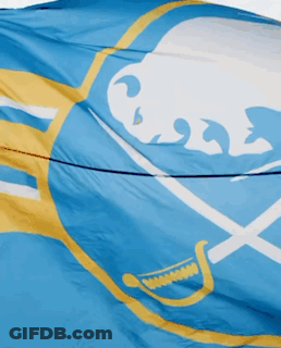 Hockey Game In Front Of SN Banner GIF