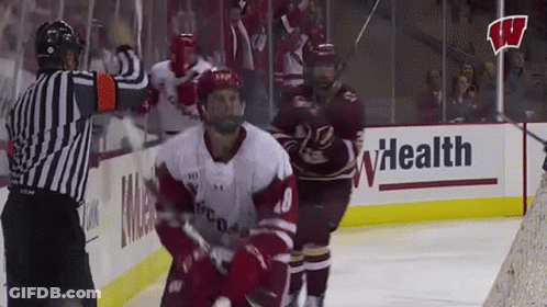 Hockey Game In Front Of Whealth Sign GIF