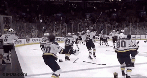 Hockey Game In NHL Stadium GIF