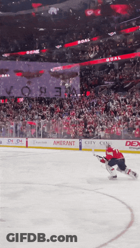 Hockey Game In Stadium Sponsored By Amerant City Club And Dex GIF