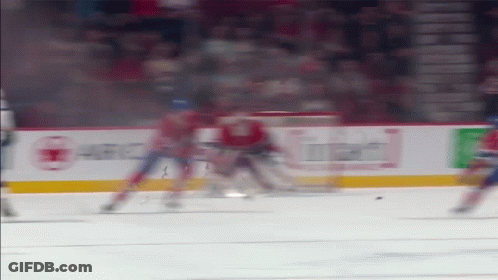 Hockey Game In Stadium With Canadian Tire Ad GIF