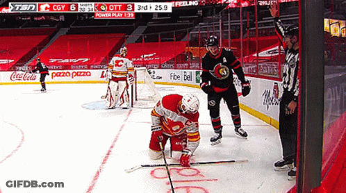 Hockey Game In Stadium With Coca Cola Pizza Fibeball Ads GIF