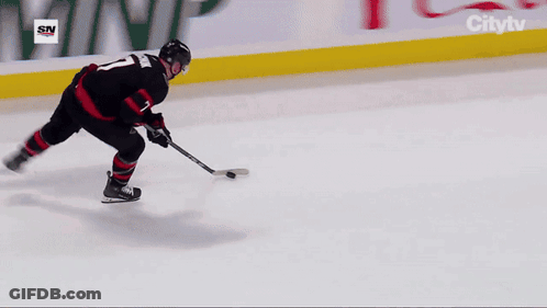 Hockey Game In Stadium With Ford Ads GIF