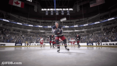 Hockey Game In Stadium With Goal Banner GIF