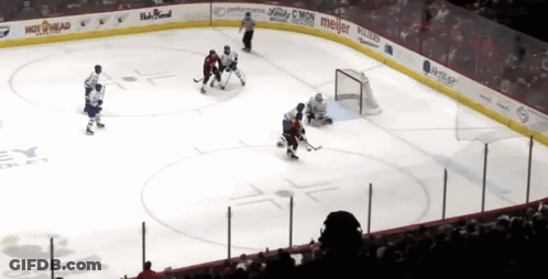 Hockey Game In Stadium With Hot Head And Meijer Ads GIF