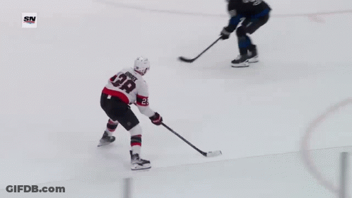 Hockey Game In Stadium With SN Logo GIF