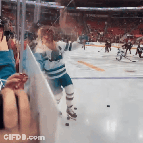 Hockey Game In Stadium With Torx Banner GIF