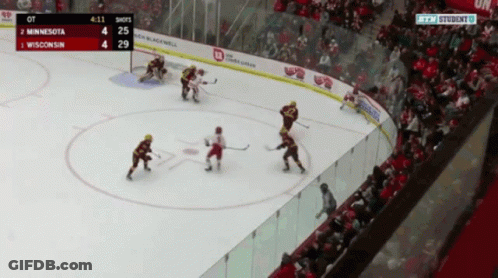 Hockey Game Minnesota Vs Wisconsin GIF