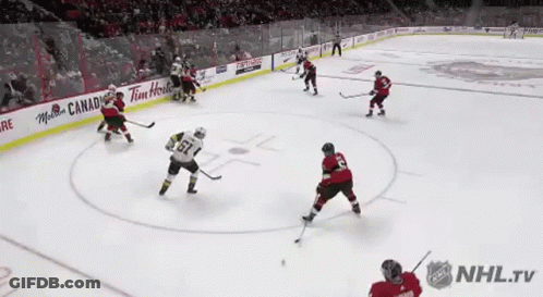 Hockey Game On Rink With Pizza Pizza Ad GIF