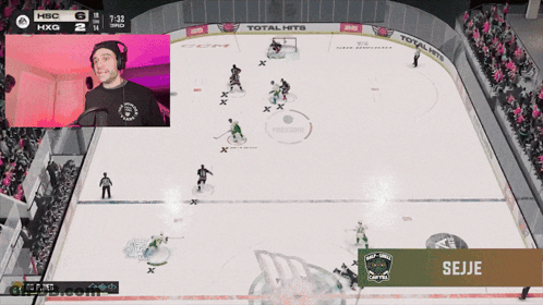 Hockey Game On Screen With Seije GIF