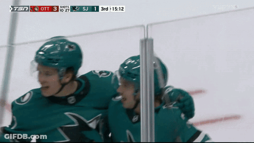 Hockey Game On TSN GIF