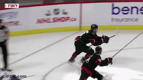 Hockey Game Played In Front Of Bene Insurance Sign GIF