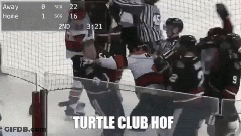 Hockey Game Saying Turtle Club Hof GIF