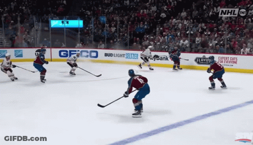 Hockey Game Score 0-1 GIF