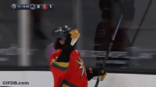 Hockey Game Score 1-0 GIF