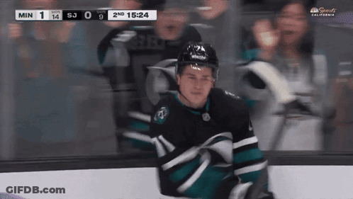 Hockey Game Score 1 To 0 GIF
