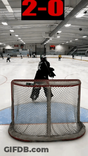 Hockey Game Score 2 To 0 GIF