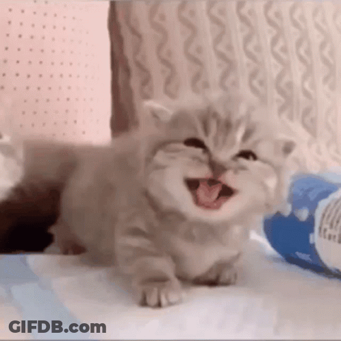 Hockey Game Score 39-2 GIF