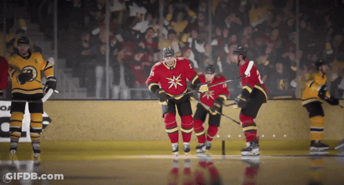 Hockey Game With Crowd And EA Sign GIF