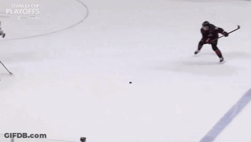 Hockey Game With Honda Betway Banner GIF