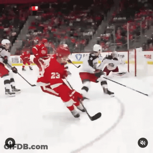 Hockey Game With Number 23 On Jersey GIF