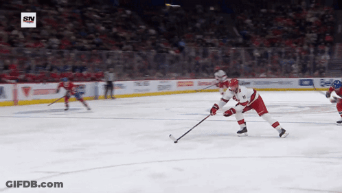 Hockey Game With SN Logo GIF