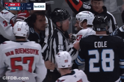 Hockey Game WSM Vs Utah Score 1 To 7 GIF