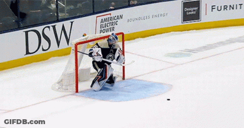 Hockey Goalie In Front Of DSW Sign GIF