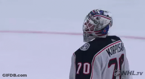 Hockey Goalie In Helmet And Jersey Number 20 GIF